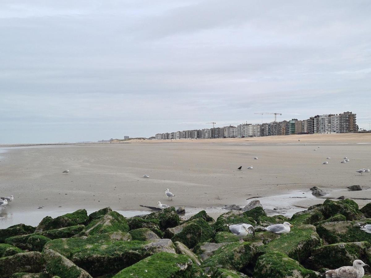Residence Jersey Koksijde Εξωτερικό φωτογραφία